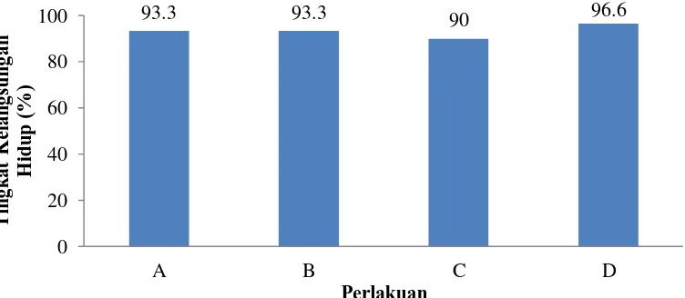 Gambar 1. Tingkat kelangsungan hidup ikan nila setelah suplementasi pakan.     A (kontrol ); B (probiotik); C (prebiotik); D (sinbiotik) 