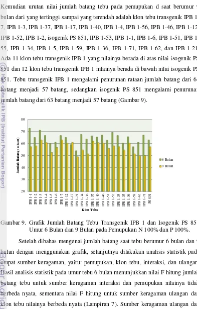 Gambar 9. Grafik Jumlah Batang Tebu Transgenik IPB 1 dan Isogenik PS 851 