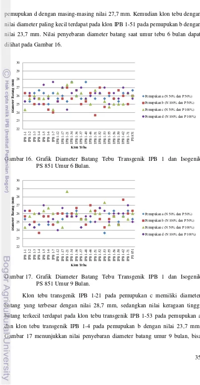 Gambar 17. Grafik Diameter Batang Tebu Transgenik IPB 1 dan Isogenik 