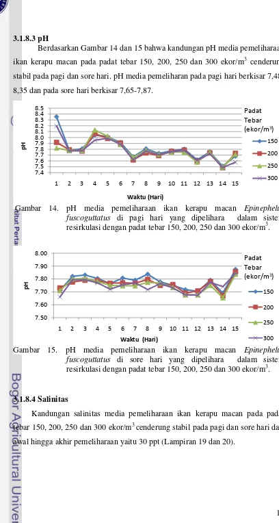Gambar 15. pH media pemeliharaan ikan kerapu macan Epinephelus 