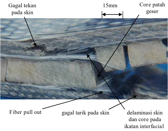 Gambar 8.  Penampang patahan core kayu pinus melintang komposit sandwich. 