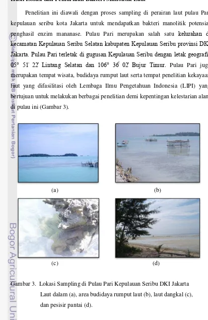 Gambar 3. Lokasi Sampling di Pulau Pari Kepulauan Seribu DKI Jakarta 