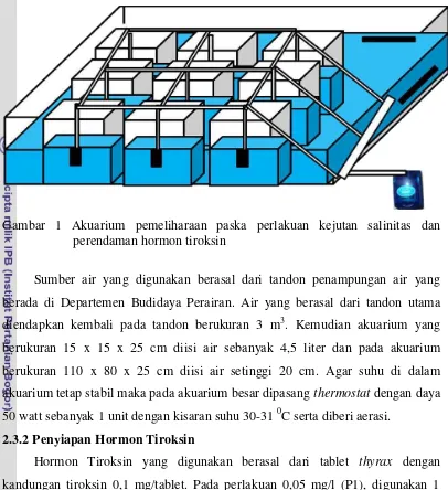 Gambar 1 Akuarium pemeliharaan paska perlakuan kejutan salinitas dan 