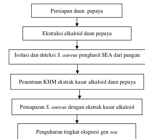 Gambar 4 Diagram alir tahapan penelitian.