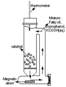 Fig. 1 Schematic diagram of CTH of fatty oil system 