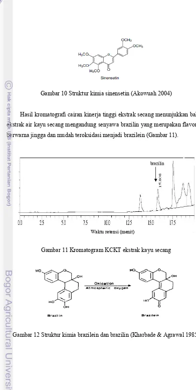 Gambar 10 Struktur kimia sinensetin (Akowuah 2004) 