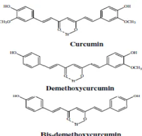Gambar 14 Struktur kimia kurkuminoid (Jayaprakasha et al. 2006) 