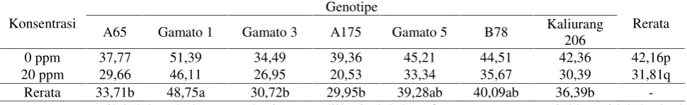 Tabel 3. Pengaruh genotipe dan aplikasi giberelin terhadap panjang buah (mm)