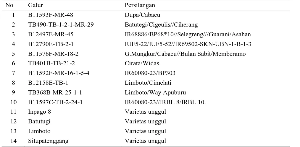 Tabel 1. Galur dan varietas padi gogo yang digunakan dalam seleksi varietas partisipatif di Cianjur danKebumen.