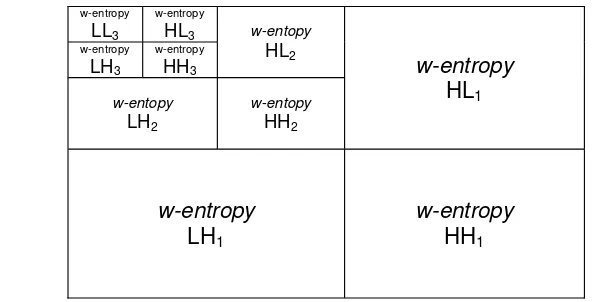 Gambar 19 Ilustrasi pembentukan nilai w-entropy pada dekomposisi wavelet