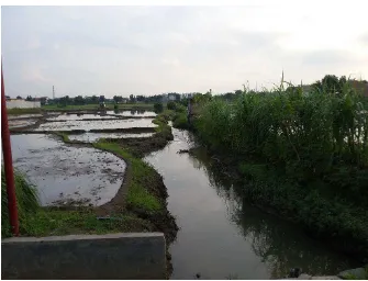 Gambar 1 : Sungai Semayam Yang Mengaliri Persawahan 