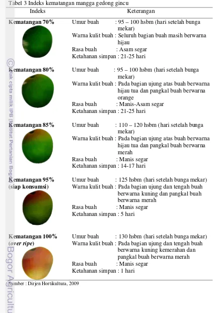 Tabel 3 Indeks kematangan mangga gedong gincu 