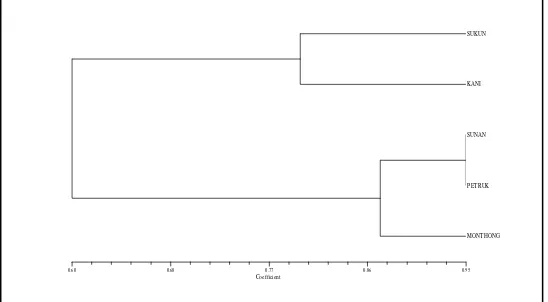 Gambar 3. Dendrogram pengelompokkan lima varietas durian berdasarkan matriks kemiripan genetik dengan primer OPA-07 