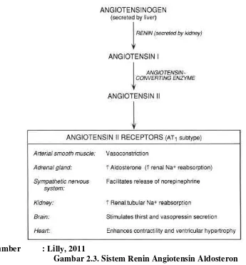 Gambar 2.3. Sistem Renin Angiotensin Aldosteron 