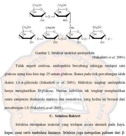 Gambar 2. Struktur molekul amilopektin 