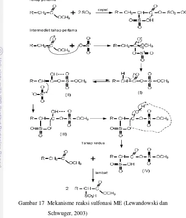 Gambar 17  Mekanisme reaksi sulfonasi ME (Lewandowski dan  
