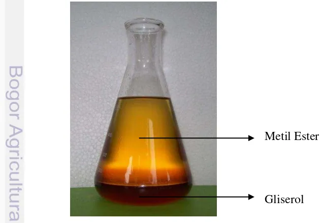 Gambar 10  Lapisan-lapisan produk transesterifikasi minyak jarak pagar. 