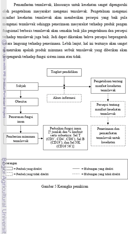 Gambar 5 Kerangka pemikiran 