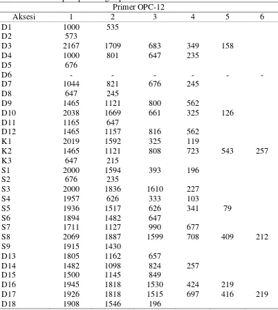 Tabel 12. Ukuran pola pita dengan primer OPC-12 