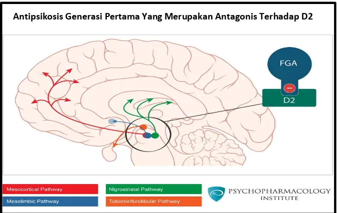 Gambar 2.1. Efek antipsikosis konvensional pada empat jalur dopamin.25 