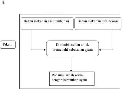 Gambar 39. Posisi bahan pakan makanan ransum 