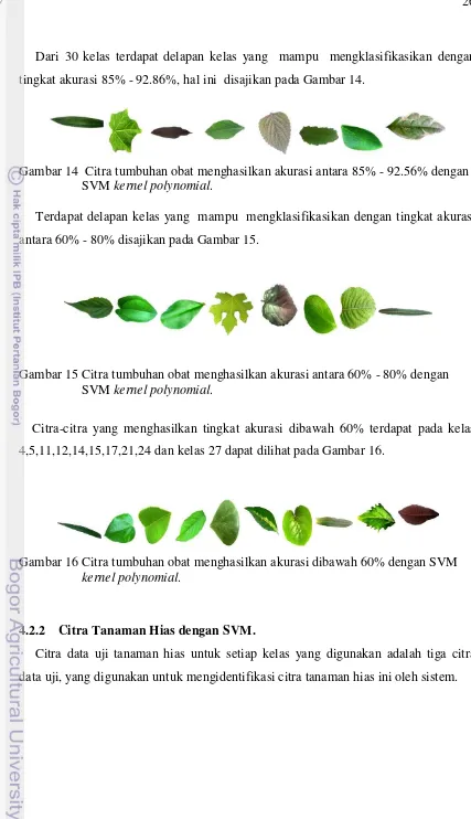 Gambar 14  Citra tumbuhan obat menghasilkan akurasi antara 85% - 92.56% dengan 