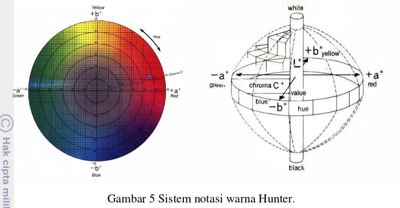Gambar 5 Sistem notasi warna Hunter. 
