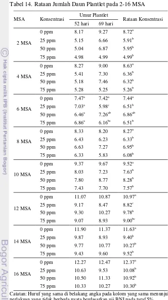 Tabel 14. Rataan Jumlah Daun Plantlet pada 2-16 MSA 
