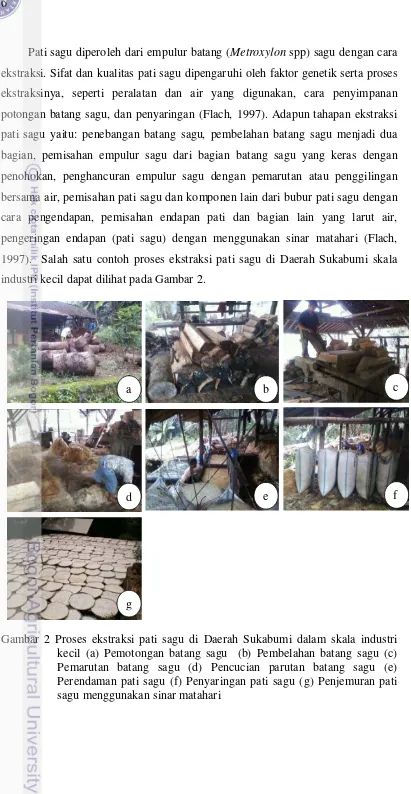 Gambar 2 Proses ekstraksi pati sagu di Daerah Sukabumi dalam skala industri 
