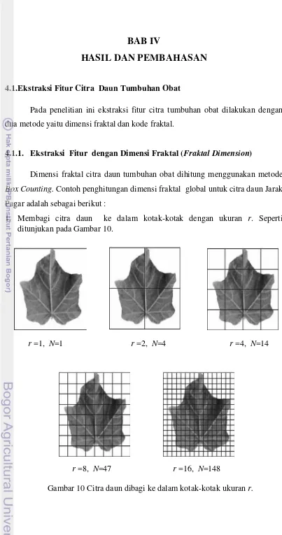 Gambar 10 Citra daun dibagi ke dalam kotak-kotak ukuran r. 