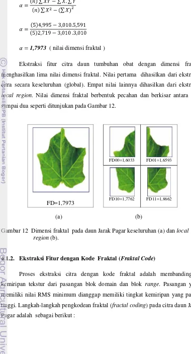 Gambar 12  Dimensi fraktal  pada daun Jarak Pagar keseluruhan (a) dan local 
