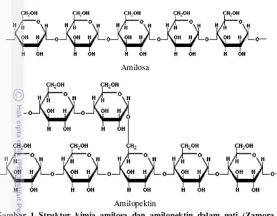 Gambar 2 Struktur kimia selulosa (Zamora 2005).  