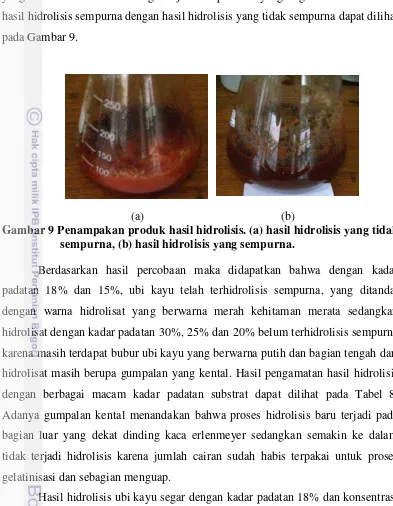 Gambar 9 Penampakan produk hasil hidrolisis. (a) hasil hidrolisis yang tidak 