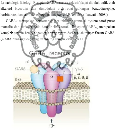 Gambar 2.2.  Kompleks protein Heterooligomerik Reseptor GABAcommit to user A. 