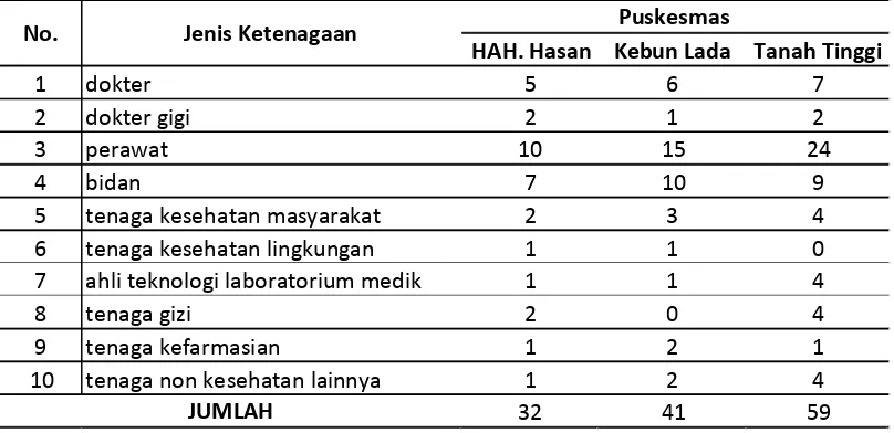 Tabel 4.5 Jumlah SDM di 3 Puskesmas 