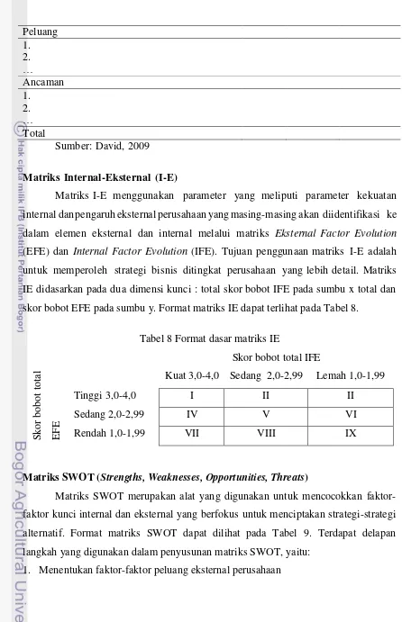 Tabel 8 Format dasar matriks IE 