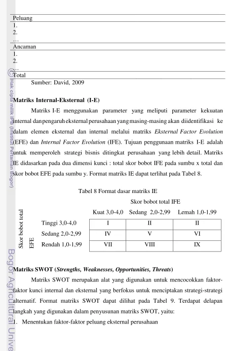 Tabel 8 Format dasar matriks IE 