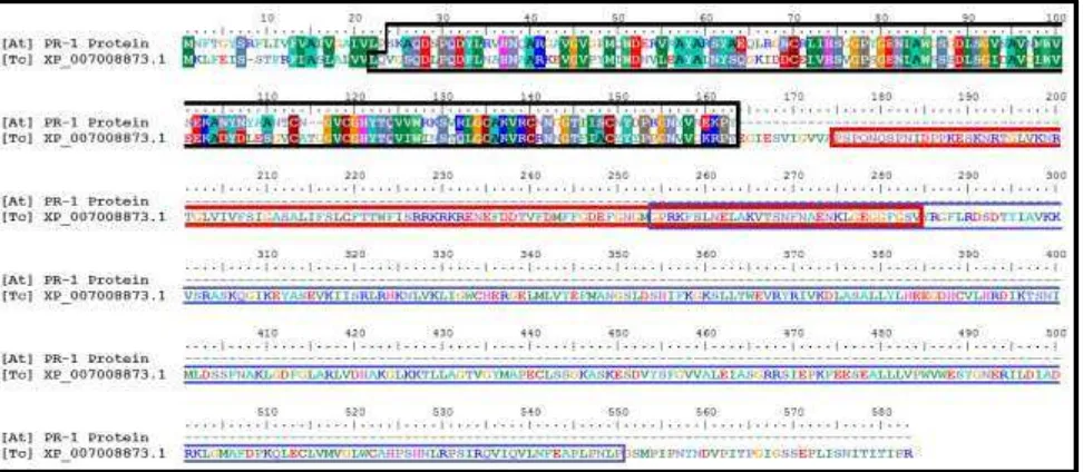 Gambar 6.   Perbedaan urutan asam amino protein CTL1 . Daerah motif protein CTL1 (CHITINASE_19_1 dan  dalam kotak berwarna merah dan dugaan     insertion chitinaseArabidopsis thaliana dan homolognya terhadap motif protein CHITINASE_19_2) ditandai dengan ga