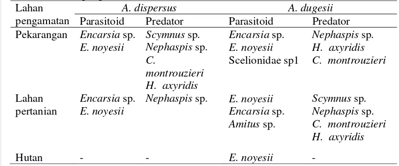 Tabel 7  Parasitoid dan predator kutukebul yang ditemukan berdasarkan jenis lahan pengamatan 