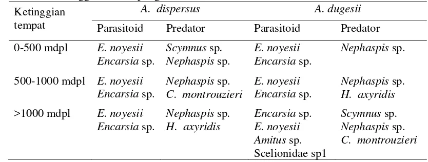 Tabel 8  Parasitoid dan predator kutukebul yang ditemukan berdasarkan ketinggian lokasi pengamatan 