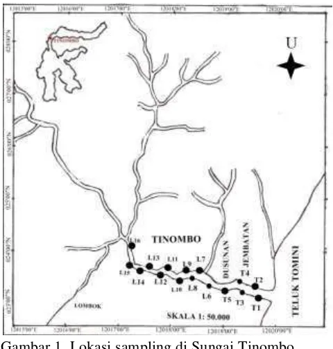 Gambar 1. Lokasi sampling di Sungai Tinombo 