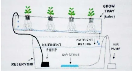Gambar 4. Hidroponik Sistem NFT (Karsono, 2008) 