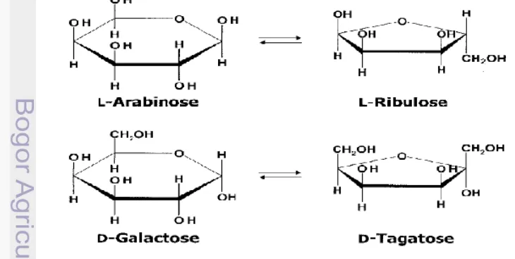 Gambar 2. Reaksi isomerisasi yang dikatalisis oleh enzim AI (Lee et al 2004) 