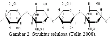 Gambar 2  Struktur selulosa (Tellu 2008).