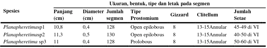 Tabel 2 Karakter kunci morfologi dan anatomi cacing tanah genus Planapheretima 