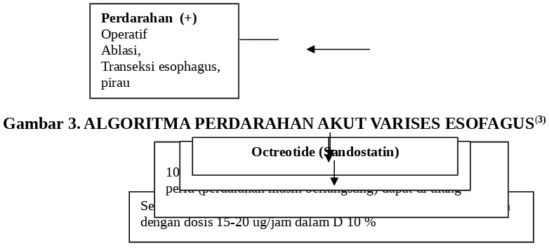 Gambar 3. ALGORITMA PERDARAHAN AKUT VARISES ESOFAGUS(3)