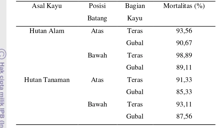 Tabel 5  Persentase mortalitas rayap kayu meranti merah dari hutan alam dan hutan tanaman 