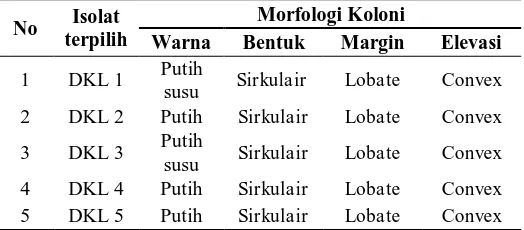Tabel 1. Morfologi koloni bakteri isolat terpilih 