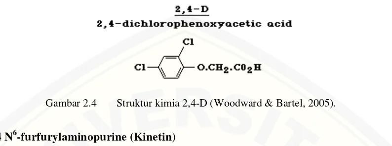 Gambar 2.4 Struktur kimia 2,4-D (Woodward & Bartel, 2005). 