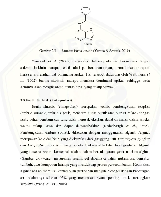 Gambar 2.5 Struktur kimia kinetin (Yardim & Senturk, 2010). 